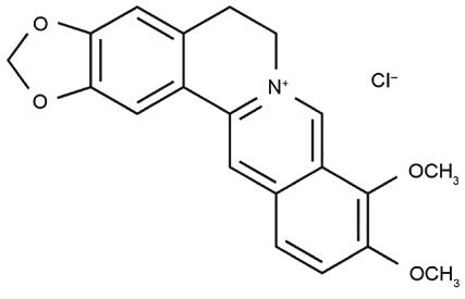 product-427-275 product-427-275
