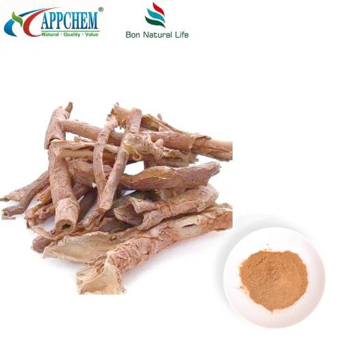 Extrait d'Acanthopanax Senticosus