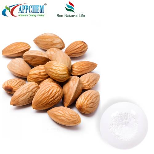Poudre d'amygdaline laetrile
