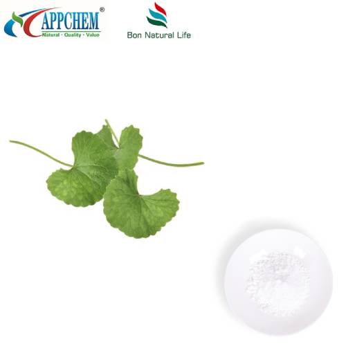 Poudre d'extrait de Centella Asiatica