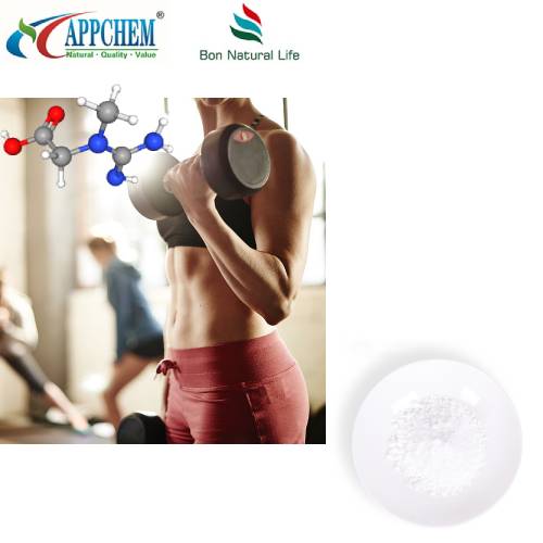 Poudre en vrac de monohydrate de créatine