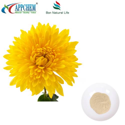 Extrait de Flos Chrysanthemi