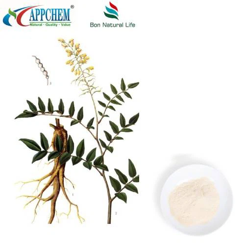 Poudre de génistéine