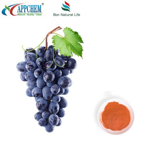 Extrait de pépins de raisin en poudre 95 polyphénols