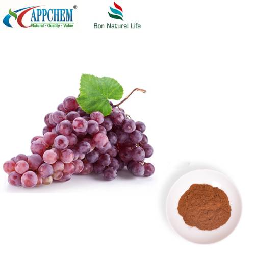 Poudre d'extrait de peau de raisin