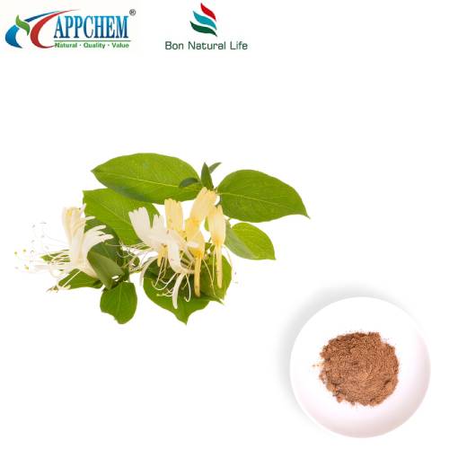 Poudre d'extrait de fleur de chèvrefeuille