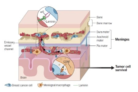 -450-300