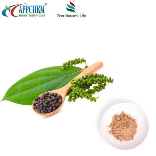 Poudre d'extrait de fruit de Ligustrum