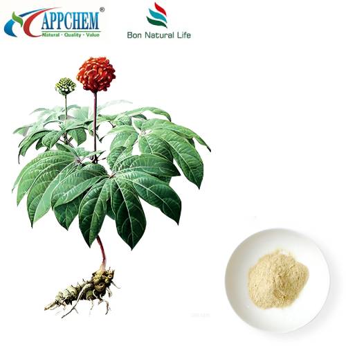 Notoginseng Radix Et Rhizoma Extrait