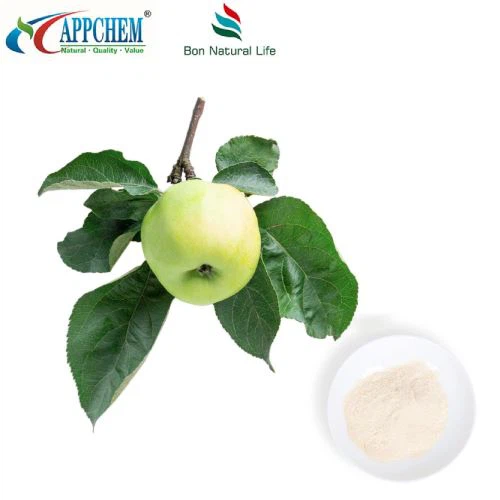 Phlorizin 60-82-1 Ingrédient de gestion de la glycémie