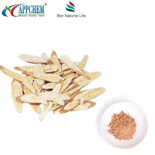 Poudre d'extrait d'astragale Radix