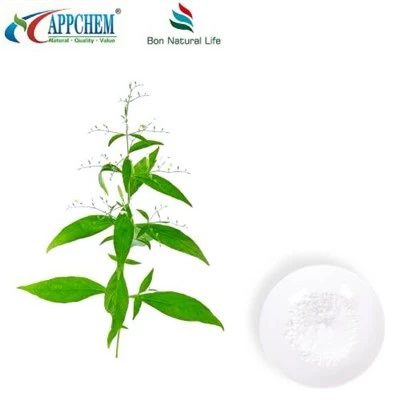 Extrait d'Andrographis paniculata Andrographolide