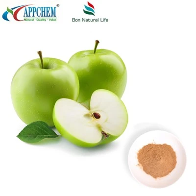 Test HPLC 29106-49-8 de procyanidine B2 d'extrait de pomme
