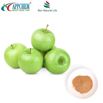 Extrait de pomme Procyanidine B2 en poudre en stock