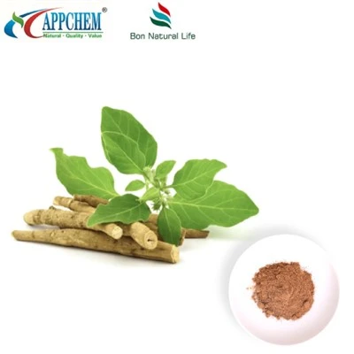 Ashwagandha Extrait de poudre (withanolides) Fabriquer 30655-48-2