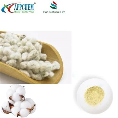 Poudre d'extrait de graines de coton