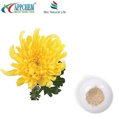 Poudre d'extrait de chrysanthème Flos