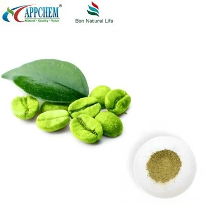 Poudre de grain de café vert pur