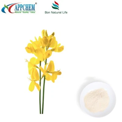 Thermopsis lanceolata R.BR Extrait; Cytisine HPLC98% poudre 485-35-8